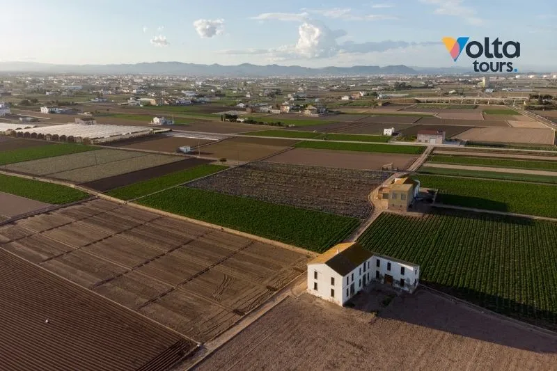 Vista aérea del paisaje agrícola tradicional de L'Horta de València, mostrando los campos verdes que rodean la ciudad